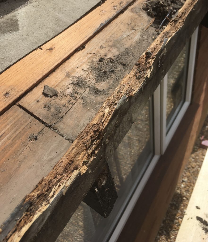 Drip Felt (Eaves Protection) — example of our work in the Midlands (4)